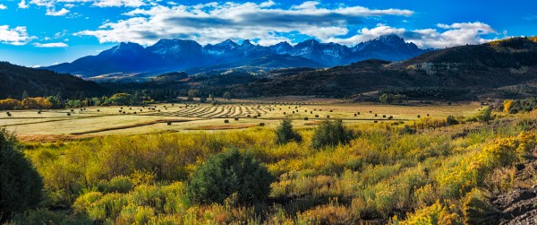 Hay Field in Early Morning Light -- 10 x 19 ft Wall Mural by John Freeman